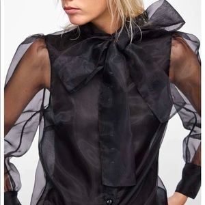 ZARA sheer top
